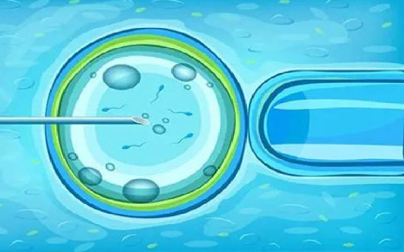 pet试管是什么代生